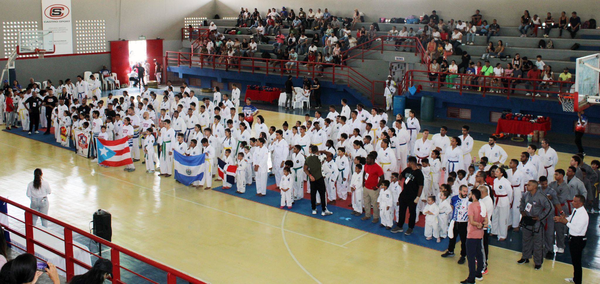 En este momento estás viendo Torneo Internacional Copa De Campeones ANTID 2024.